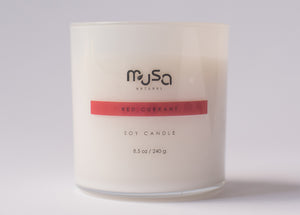 
                  
                    Load image into Gallery viewer, musa-natural-cosmetics-natural-candle-soy-sugar-scrub-lip-balm-face-mask-bath-bomb-shower-steamer-salt-soap-lip-scrub
                  
                